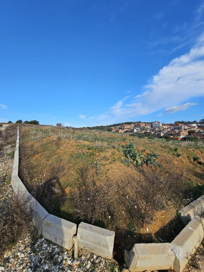 terrain-vente-annaba-barrahel-algerie