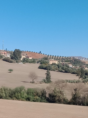 terrain-vente-bejaia-oued-ghir-algerie