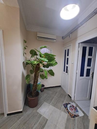 Vente Villa Sidi Bel Abbès Sidi bel abbes