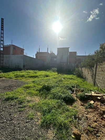 Vente Terrain Alger Reghaia