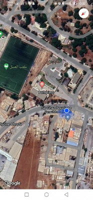 autre-location-bien-immobilier-chlef-el-oued-algerie