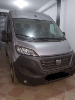 automobiles-fiat-professional-ducato-2023-22-chlef-algerie