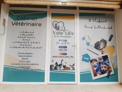 autre-cabinet-veterinaire-veto-life-el-achour-alger-algerie