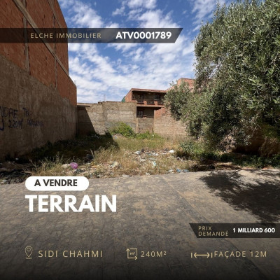 Vente Terrain Oran Sidi chami