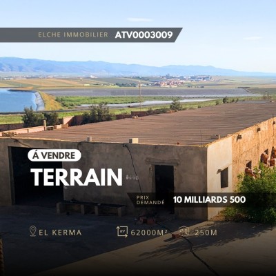 بيع أرض وهران الكرمة