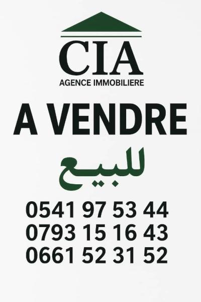 Vente Terrain Boumerdès Hammedi