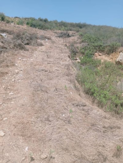 بيع أرض بجاية بجاية