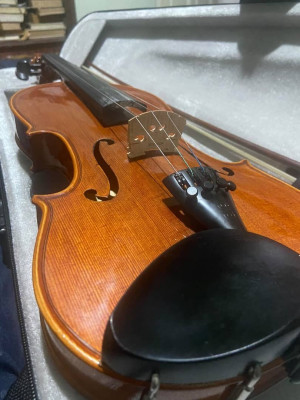violin-violon-stentor-conservatoire-2-oran-algeria