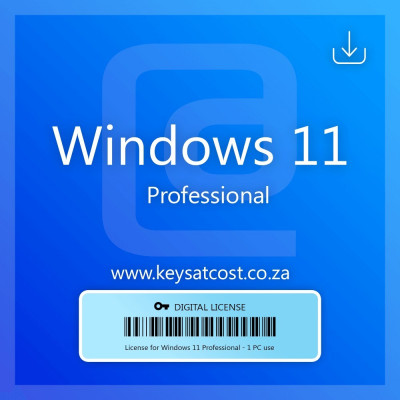 Windows 10 pro / 11 pro