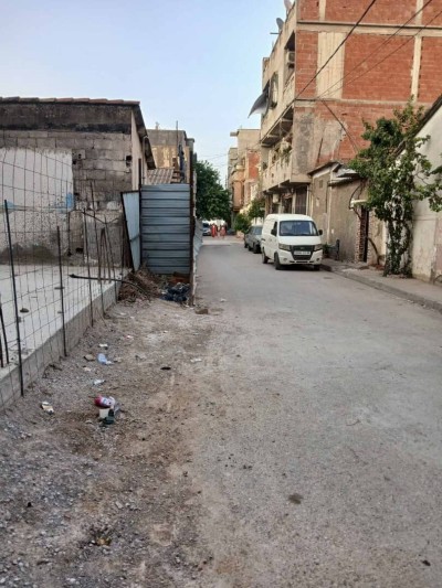 Vente Terrain Blida Blida