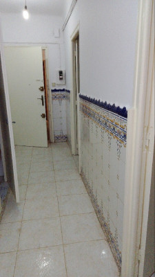 appartement-vente-f3-blida-algerie