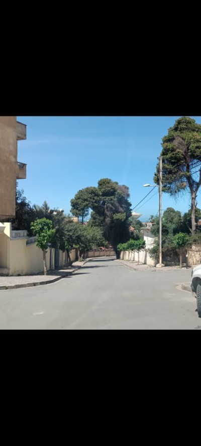 بيع أرض الجزائر المحمدية