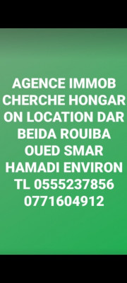 Rental search Apartment Algiers Mohammadia