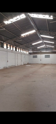 Location Hangar Alger Oued smar