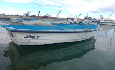 barques-barque-480-m-avec-moteur-suzuki-15-ch-gouraya-tipaza-algerie