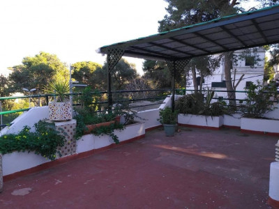 Rent Villa Algiers El mouradia