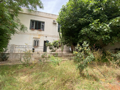 Sell Land Alger El biar