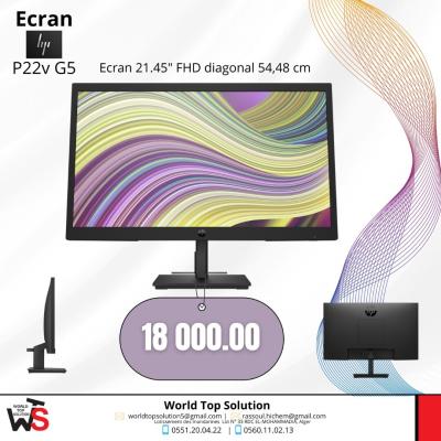 Ecran HP P22v G5 FHD