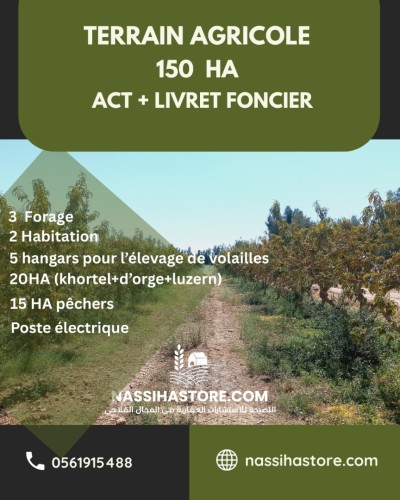 Vente Terrain Agricole Djelfa Benhar