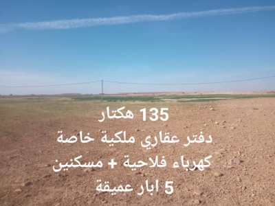 Vente Terrain Agricole Djelfa Djelfa