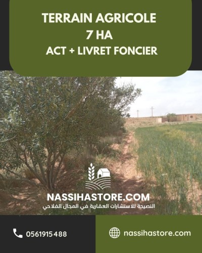 Vente Terrain Agricole Djelfa Djelfa