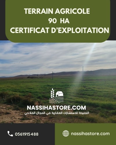 Vente Terrain Agricole Djelfa Djelfa