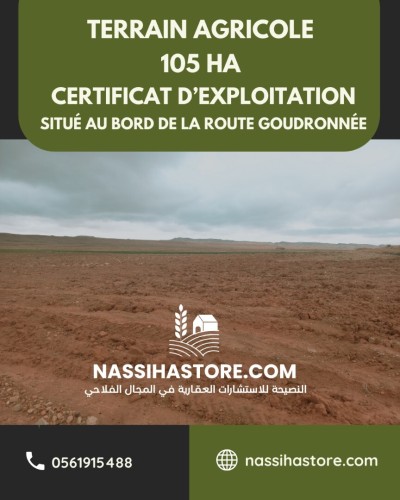 Vente Terrain Agricole Djelfa Ain el ibel