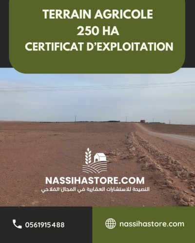 Vente Terrain Agricole Djelfa Ain oussara