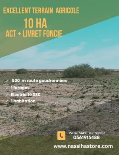 Sell Farmland Djelfa Birine