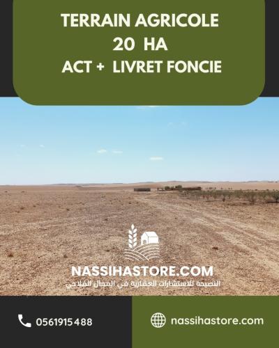 Vente Terrain Agricole Djelfa Birine