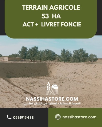 Vente Terrain Agricole Djelfa Birine