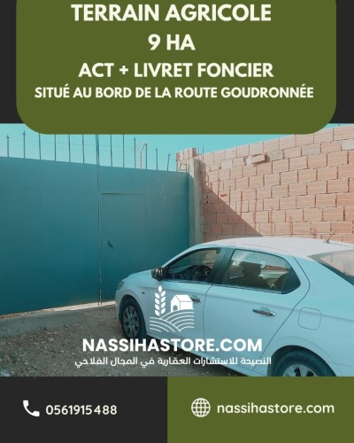 Vente Terrain Agricole Djelfa Djelfa