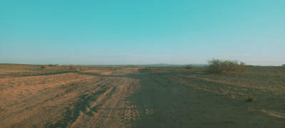 terrain-agricole-vente-djelfa-birine-algerie