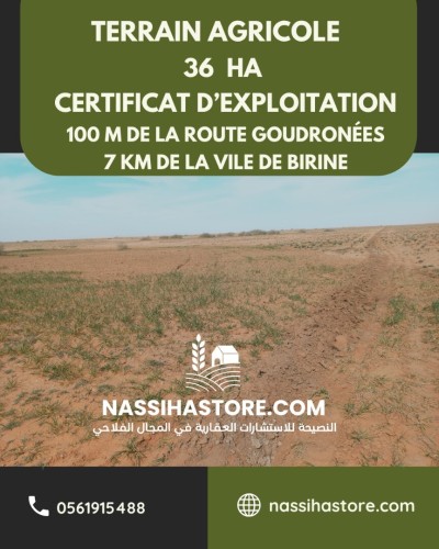 Vente Terrain Agricole Djelfa Birine