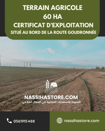 Vente Terrain Agricole Djelfa Ain oussara