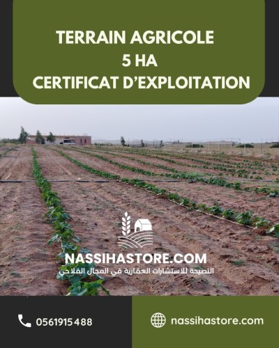 Vente Terrain Agricole Djelfa Hassi bahbah