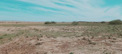 Sell Farmland Djelfa Birine