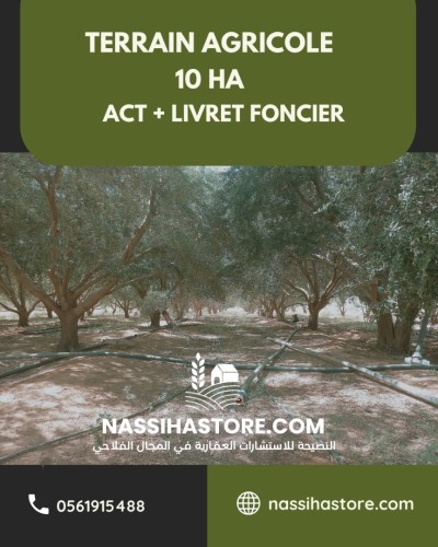 Vente Terrain Agricole Djelfa Djelfa