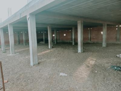 Vente Terrain Agricole Djelfa Djelfa