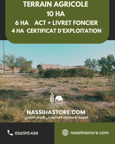 Vente Terrain Agricole Djelfa Djelfa