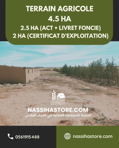 Vente Terrain Agricole Djelfa Birine