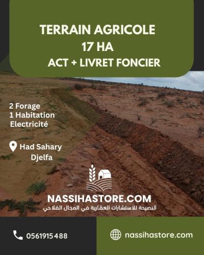 Vente Terrain Agricole Djelfa Had sahary