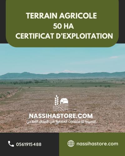 Vente Terrain Agricole Djelfa Bouira lahdab