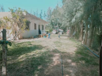 Vente Terrain Agricole Djelfa Djelfa