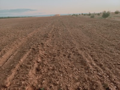 Vente Terrain Agricole Djelfa Hassi bahbah