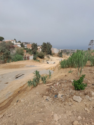 terrain-vente-tipaza-fouka-algerie