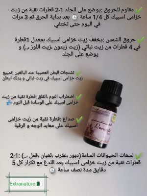 parfums-et-deodorants-lavande-aspic-زيت-الخزامى-boufarik-blida-algerie