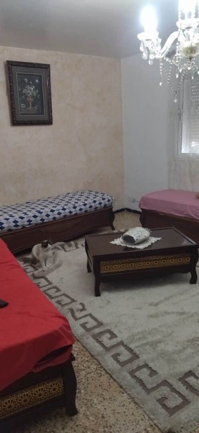 Rent Apartment F3 Constantine Constantine
