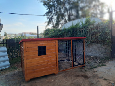 chien-niche-et-cage-pour-بيوت-كلاب-birkhadem-alger-algerie