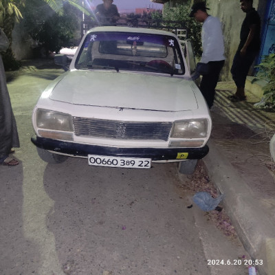 automobiles-peugeot-504-1989-ain-nehala-tlemcen-algerie